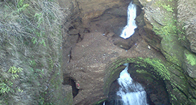 devis fall